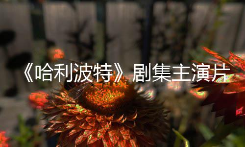 百万片酬曝光哈二季利波富翁主演特剧集就成第