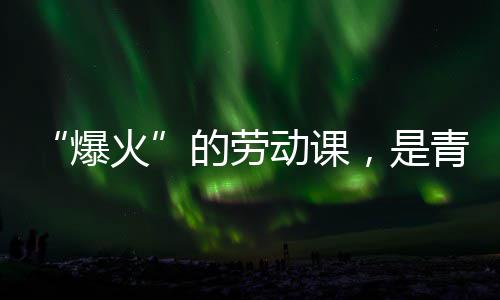爆火会的与社热烈，是的劳动课对话青年