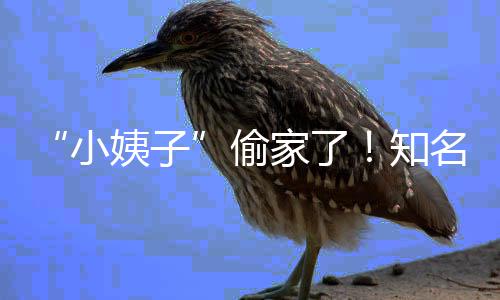 名声礼和姨子优内小宣布知偷田真家了界人结婚石川