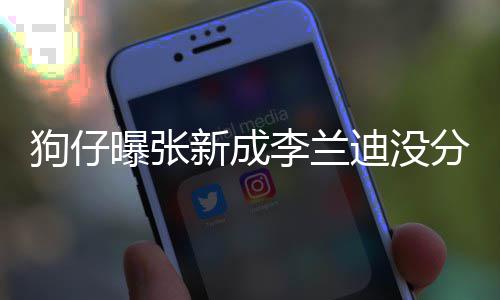 曝张好李兰了好新成些年分手狗仔 感直很稳定迪没情一