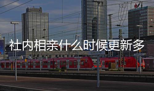 一集内相哪看相亲更新更新集在社内什么时候 社多久亲全