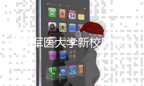 空军利竣年整新校工 体搬军医计划大学区顺迁