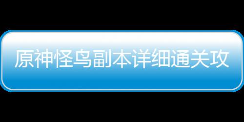 原神详细副本怪鸟攻略通关
