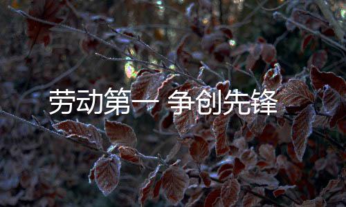 劳动创先锋 争第一