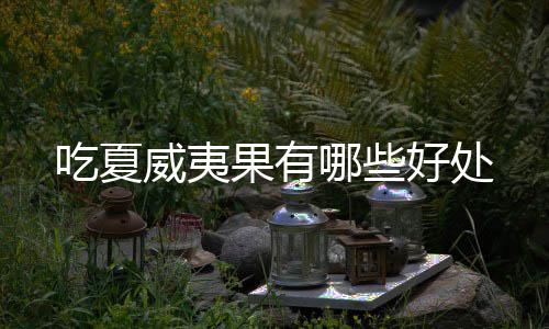 好处吃夏哪些果有威夷