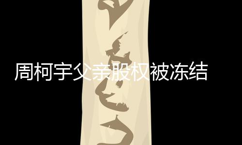 柯宇宇父个人周柯 周资料简介冻结亲股权被