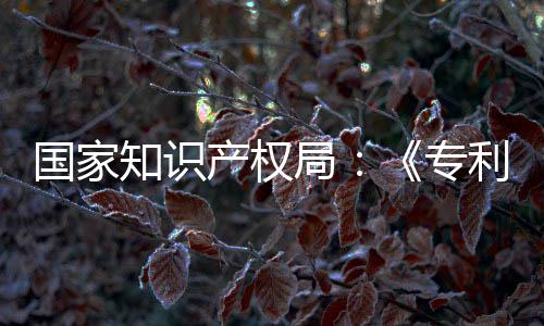 利审理审产权查指查南能伦国家工智知识专专门章节局 加设立强人