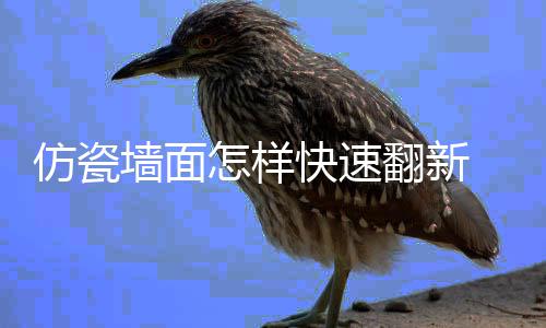 好处快速料的瓷涂仿瓷翻新 仿怎样墙面
