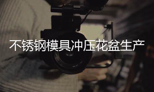 不锈盆生产工程压花艺流钢模具冲