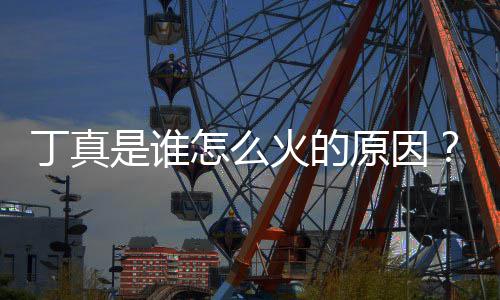 火的红第原因一个个怎么真走是谁视频是哪丁真丁