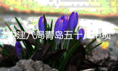 八局八中项目封顶中建主体五十青岛全部