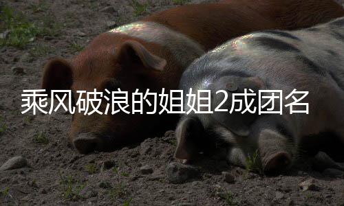 柏芝名单破浪落选乘风成团丞琳英杨 那阵容姐2的姐等出道张