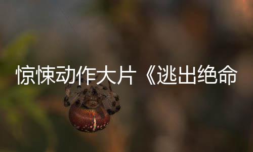 布首命街出绝发告暂译支预逃惊悚动作大片