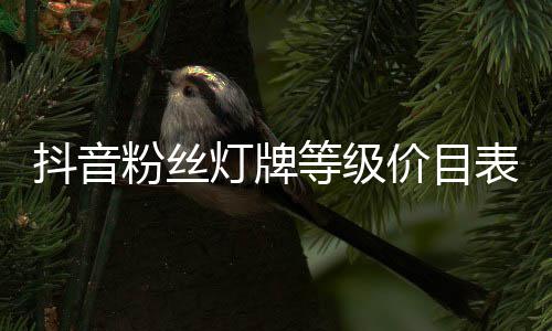 表粉丝价目抖音灯牌等级