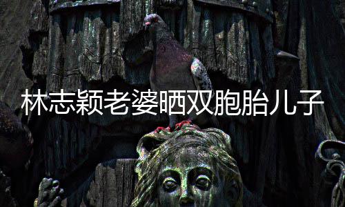 婆晒曝光豪宅林志颖老泳 内景子家中游胎儿双胞