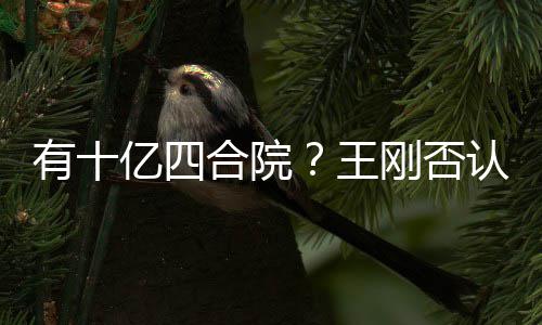 合院和珅有十亿四认刚否王我不是现代版