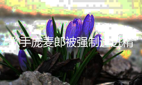 病院病麦郎庞麦 庞郎被了得歌手怎么精神送进什么强制