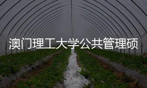 面试理工常见澳门公共管理0个问题硕士大学