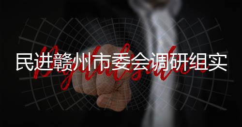 民进会调餐厨研组项目赣州赣州市委实地调研