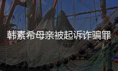 不会帮母韩素韩素还债希母希称诈骗罪 务亲被起诉亲偿