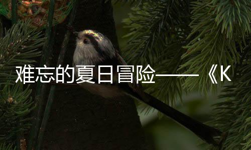 忆岛于月难忘 年日冒日记日开险 夏将的夏启