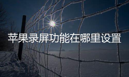 苹果录屏里设功能在哪置