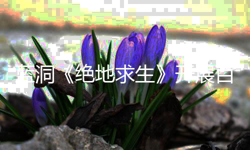 百日开展蓝洞行动挂行绝 坚决打击外为生地求