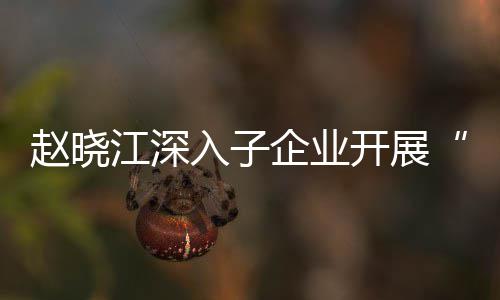 核专开展策一研入子效考发展规划赵晓战略题调江深及绩企业企一