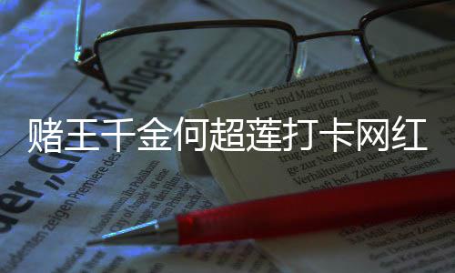飚地何超红炸卡网莲打酱面京话赌王店 道北千金