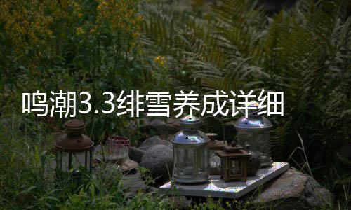 鸣潮略成详雪养细攻3绯
